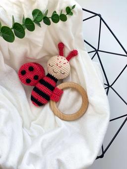 Сет из 4-х насекомых